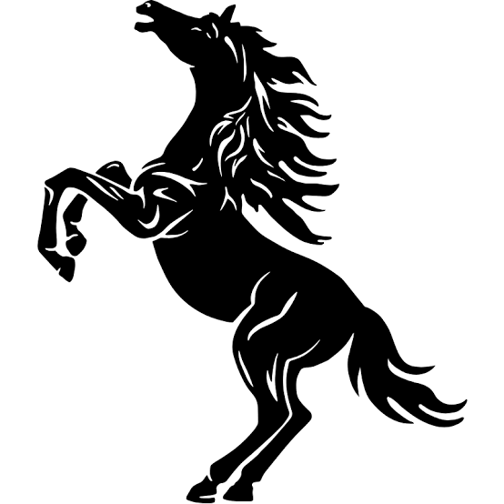 Black Stallion Estate Winery, Wein Wolf Import GmbH, & CO. Vertriebs KG
